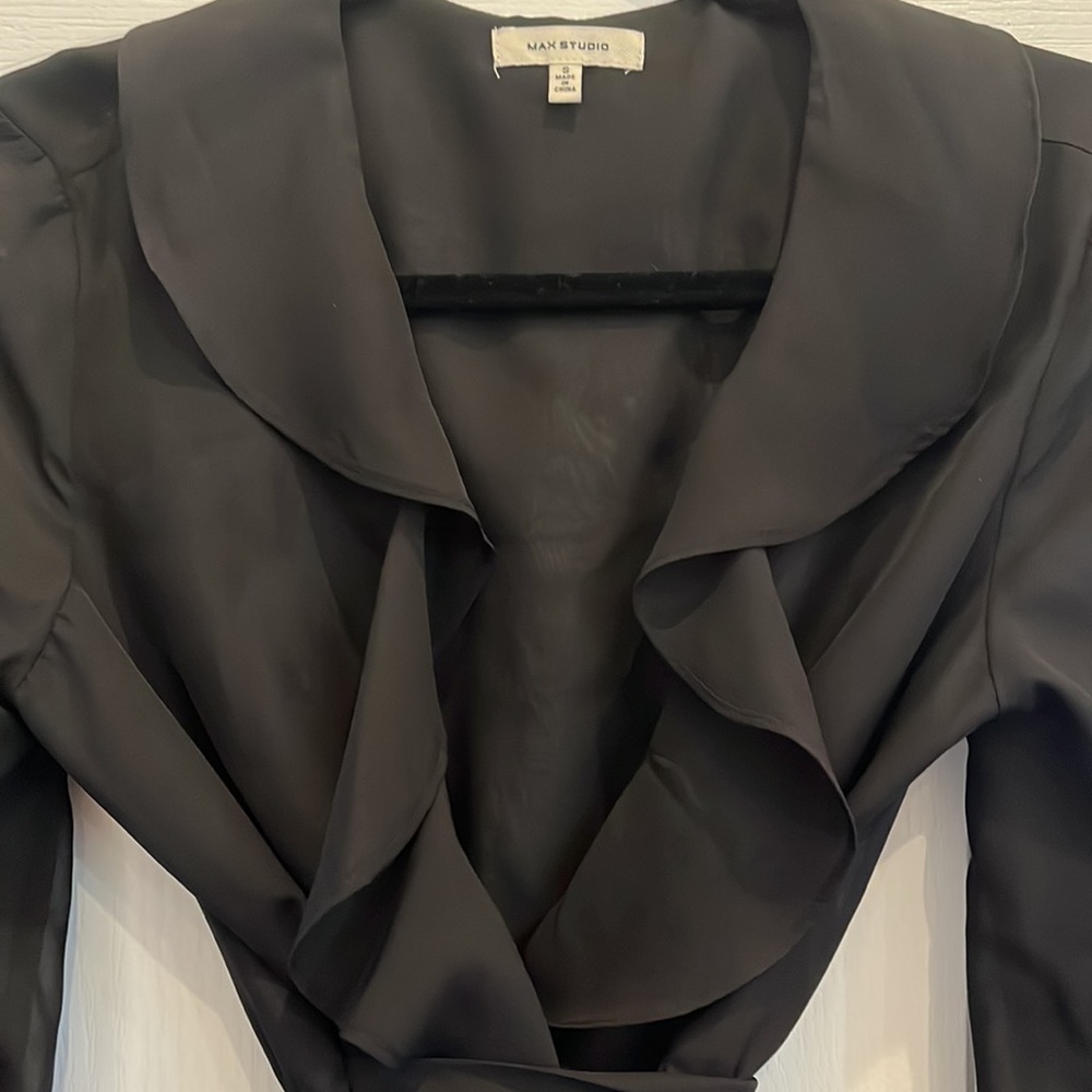 Max Studio Sheer, Ruffled Blouse - Picture 3 of 6